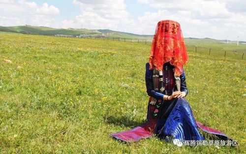 【邂逅草原、相恋一生】辉腾锡勒黄花沟为爱见证