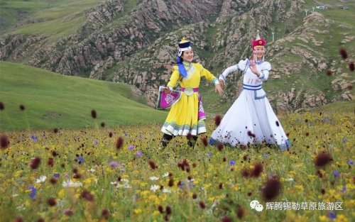 金秋错峰游“锦囊”，玩转辉腾锡勒黄花沟！