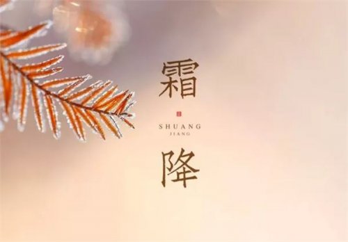 今日霜降|养生秘诀，快收好喽！