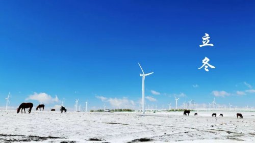 今日立冬 | 冬日里的辉腾锡勒纯真动人