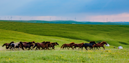 家有“熊孩子”，我太难了！