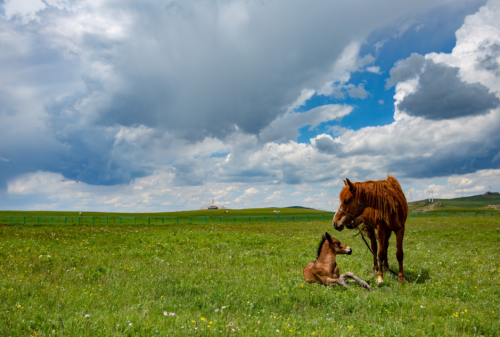 叮咚，你的网课已送达！