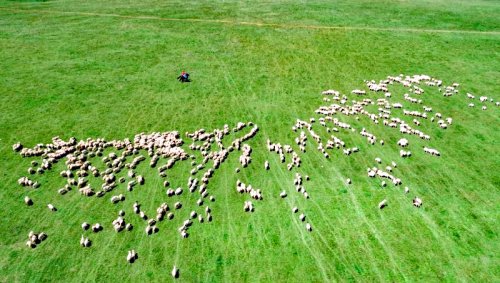 四月雪，惊艳了这个春天！