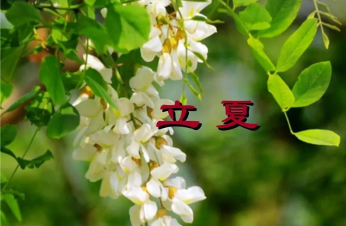 立夏 | 春之暮、夏之始、万物至此皆繁茂