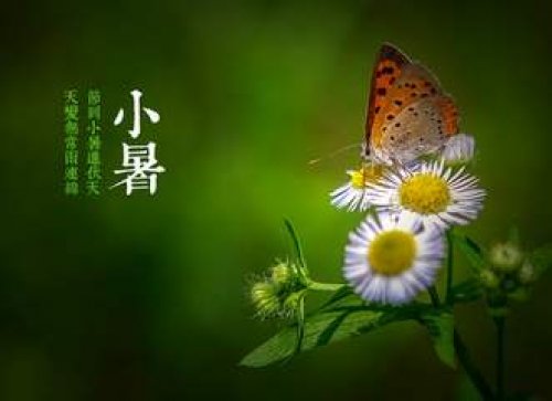 夏日里清爽之地——辉腾锡勒黄花沟草原