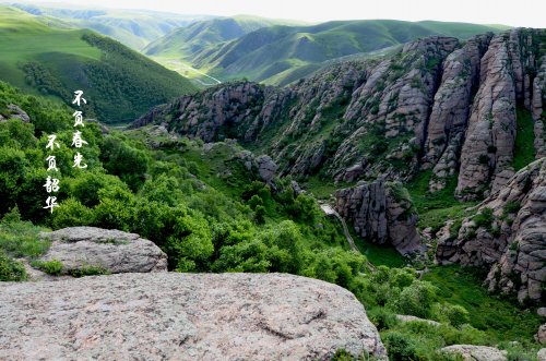 许一季芳华，望尽春日柔情似水！