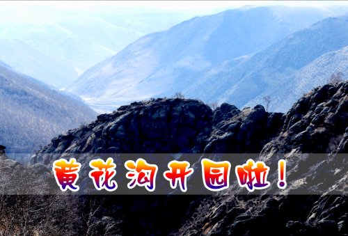 开园特惠 | 四月芳菲醉、相约黄花沟、福利大派送