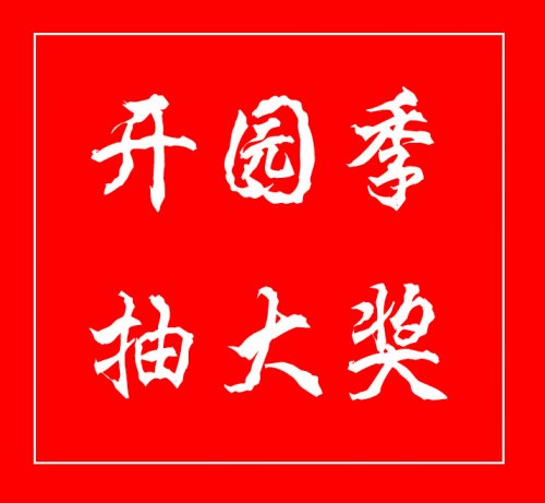 【开园季】福利倒计时，大奖等你呦！