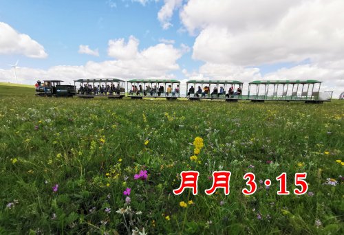 内蒙古提高跨地区消费维权效能4地启动消费维权联盟