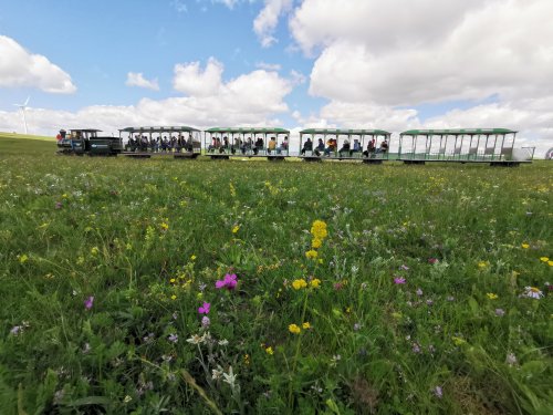 暑期至，黄花沟承包了盛夏所有的清凉与狂浪！