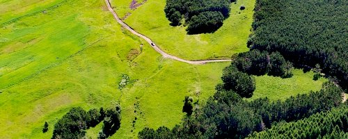 植于翠绿、收获健康